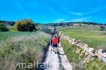 Malta'daki kırsal kesimde yürüyen bir grup İngiliz öğrencisi